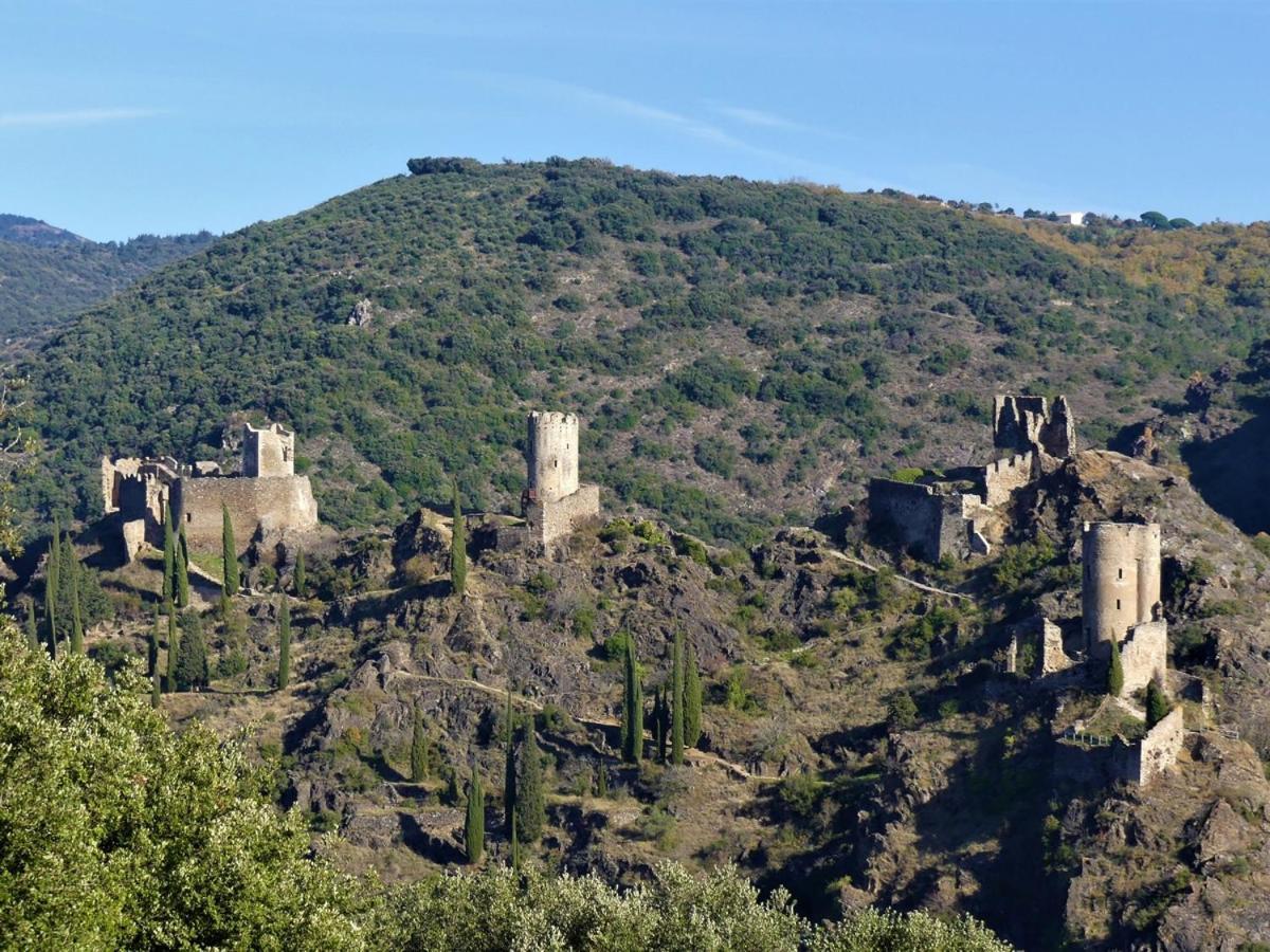 Au Soleil Couchant Villemoustaussou Dış mekan fotoğraf
